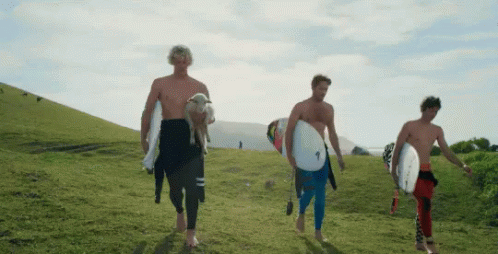 Surfing GIF - Surfers Summer Goat GIFs