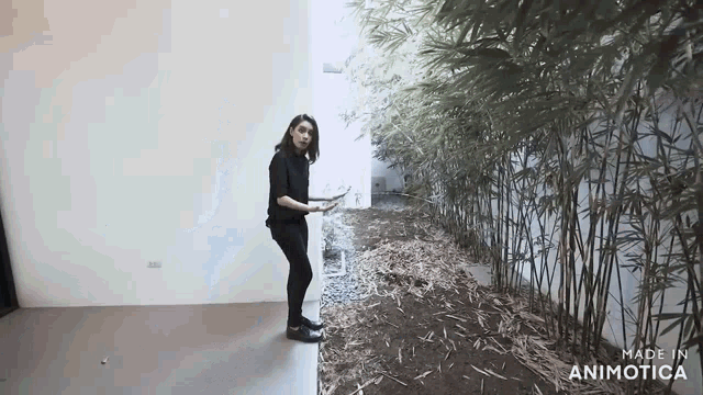 a woman is standing in front of a row of bamboo plants .