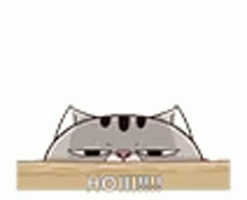 Peep Cat Sticker GIF - Peep Cat Sticker GIFs