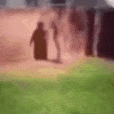 a blurry picture of two people standing next to each other on a lush green field .