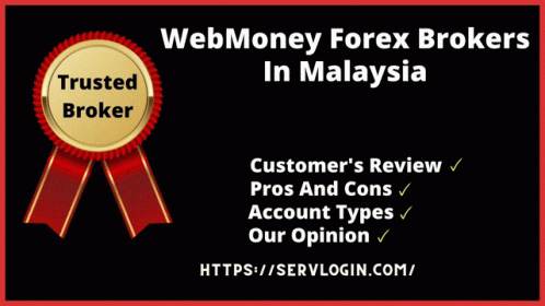 Web Money Forex Brokers Best Web Money Forex Brokers In Malaysia GIF - Web Money Forex Brokers Best Web Money Forex Brokers In Malaysia Forex Brokers In Malaysia GIFs