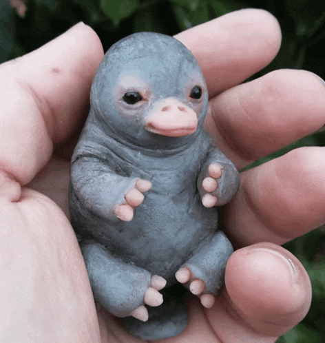 a person is holding a baby platypus with a pink beak
