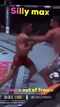 a screenshot of a boxing match that says silly max on it