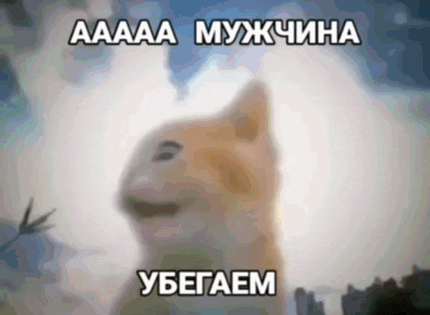 a blurred image of a cat with a caption in russian that says aaa