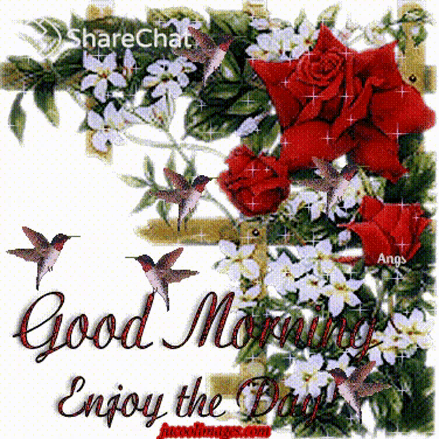 a good morning greeting card with hummingbirds and red roses
