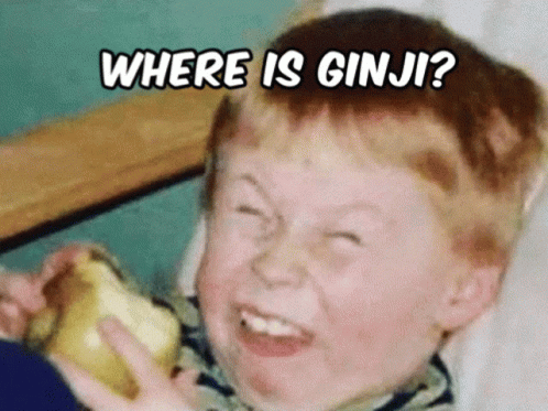 Ginger Funny GIF - Ginger Funny Where Is Ginji GIFs