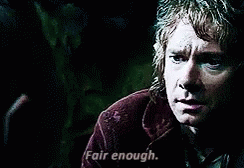 Fair Enough GIF - Lord Of The Rings Bilbo Baggins Martin Freeman GIFs