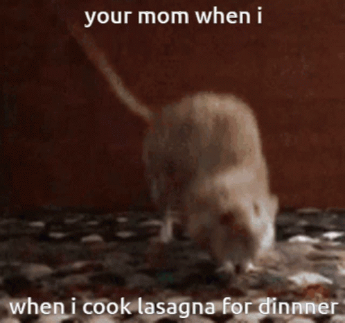 Your Mom When I Lasagna GIF - Your Mom When I Lasagna Rat GIFs