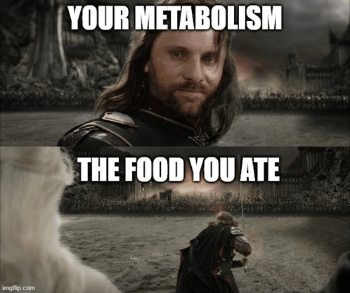 Metabolism Food You Ate GIF - Metabolism Food You Ate GIFs