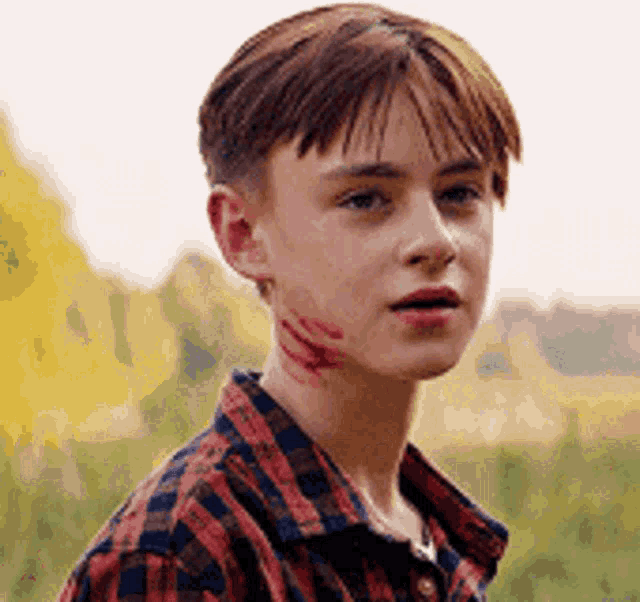 a young boy wearing a plaid shirt has blood on his face .