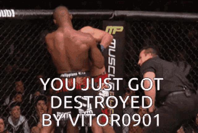 a man in a boxing ring with the words you just got destroyed by vitor0901