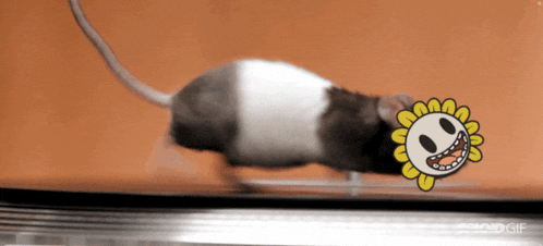 a cartoon drawing of a mouse and a sunflower with the words good gif below it