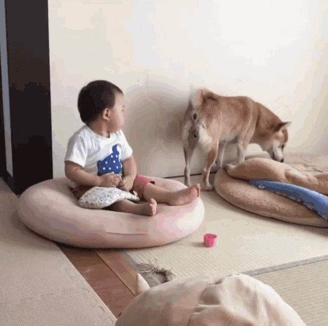 a baby sits on a pink pillow while a dog watches