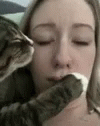 Kiss Me Cat GIF - Kiss Me Cat GIFs