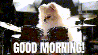 a pomeranian dog is sitting in front of a drum set with the words good morning written below it