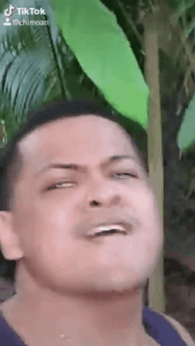 Funny Fijian Taro GIF - Funny Fijian Taro Champs GIFs