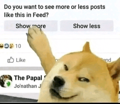 a doge is asking if you want to see more or less posts in feed .