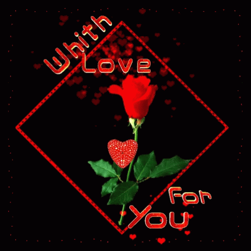 Red Rose Wiht Love GIF - Red Rose Wiht Love For You GIFs