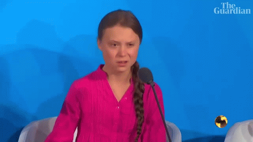 Greta Thunberg GIF - Greta Thunberg How GIFs