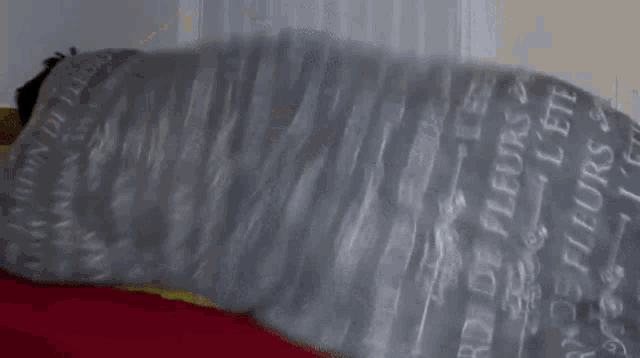a man is wrapped in a blanket and using a cell phone while lying on a bed .