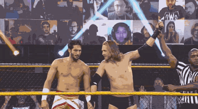 Curt Stallion Mansoor GIF
