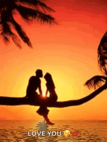 a man and a woman are sitting on a tree branch overlooking the ocean at sunset .