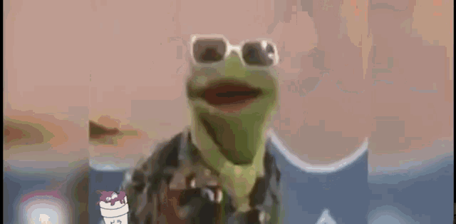 Rap Kermit GIF - Rap Kermit Beach GIFs