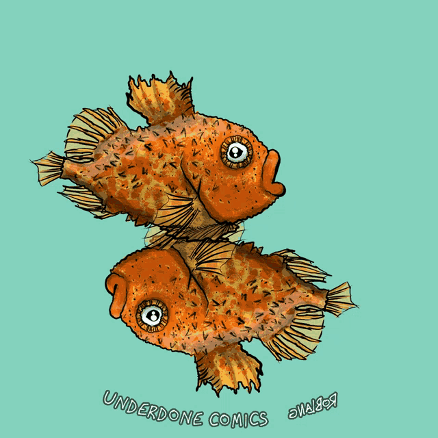 Lumpsucker Fish GIF - Lumpsucker Fish Underdone Comics GIFs