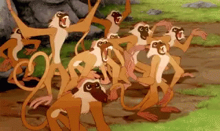 Omg Excited GIF - Omg Excited Monkeys GIFs
