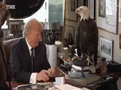 Trump Funny GIF - Trump Funny Bird GIFs