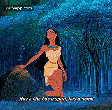 a cartoon of pocahontas kneeling on a rock with the words has a life has a spirit has a name .