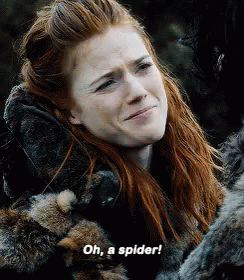 Spider Game Of Thrones GIF