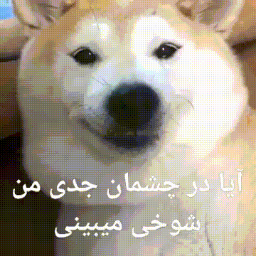 a close up of a dog 's face with foreign writing on it