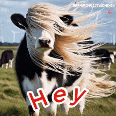 a picture of a cow with a long blonde mane and the words hey