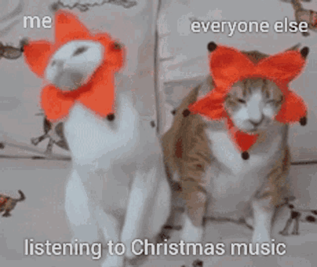 987654321 Listening To Christmas Music GIF - 987654321 Listening To Christmas Music Cat GIFs