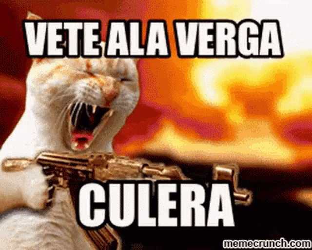 a cat is holding a gun with the words vete ala verga culera written on it