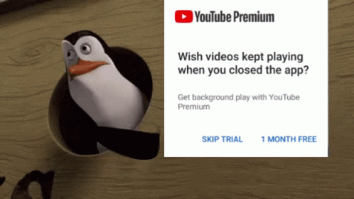 Youtube Premium GIF