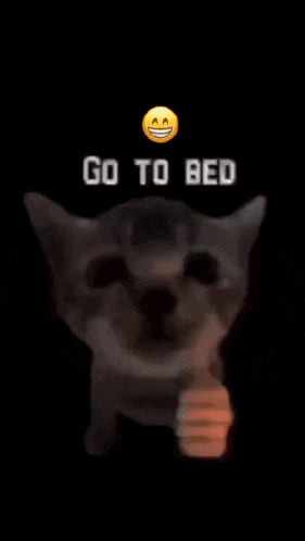 a cat is giving a thumbs up with the words go to bed behind it