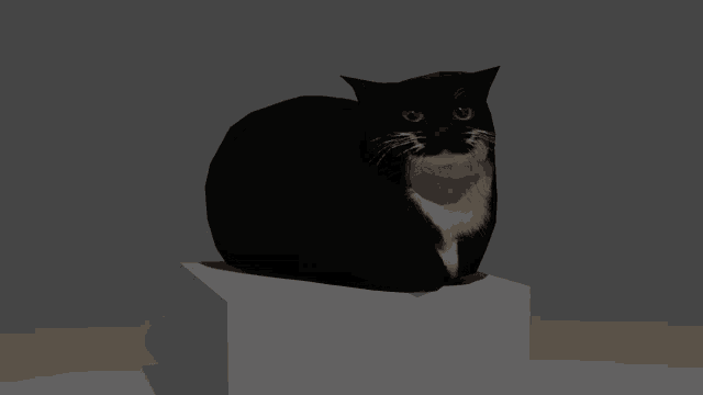 a black and white cat is sitting on a cube