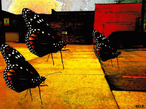 Aux Butterfly GIF - Aux Butterfly Fying GIFs