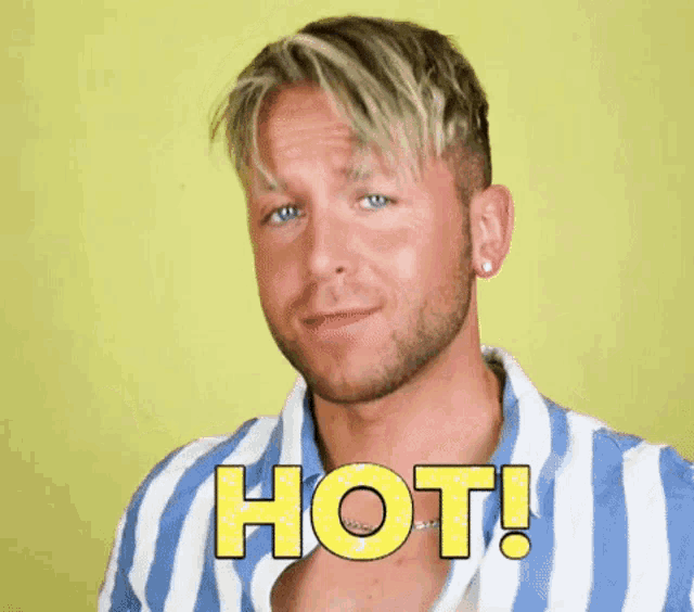 a man with blonde hair and a beard is wearing a blue and white striped shirt and says hot !