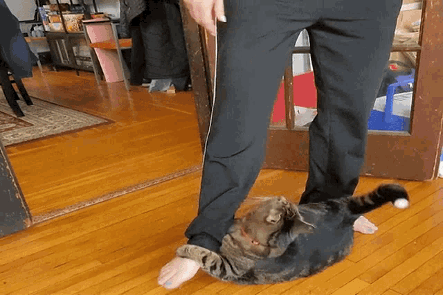 Getrotated GIF
