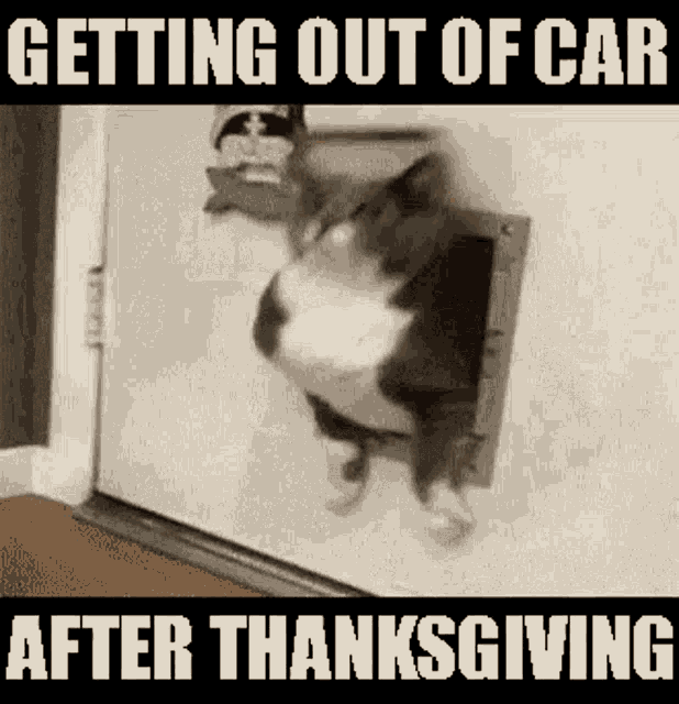 After Thanksgiving GIF - After Thanksgiving Friday GIFs
