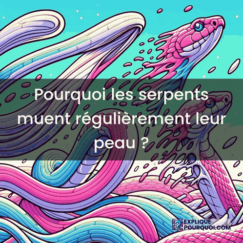 a colorful drawing of a snake with the words " pourquoi les serpents muent regulierement leur peau " below it