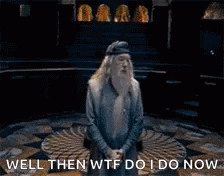 Harry Potter Dumbledore GIF - Harry Potter Dumbledore Now What GIFs