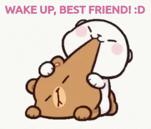 Wake Up Best Friend GIF - Wake Up Best Friend Nibble GIFs