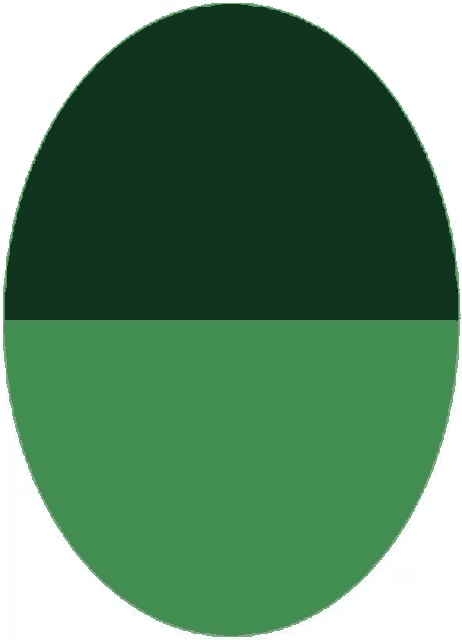 a green circle with a half of it in a dark green color .