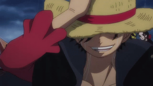 Luffy One Piece GIF - Luffy One Piece Straw Hat GIFs