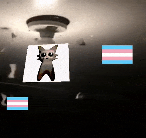 a picture of a cat is surrounded by a transgender flag