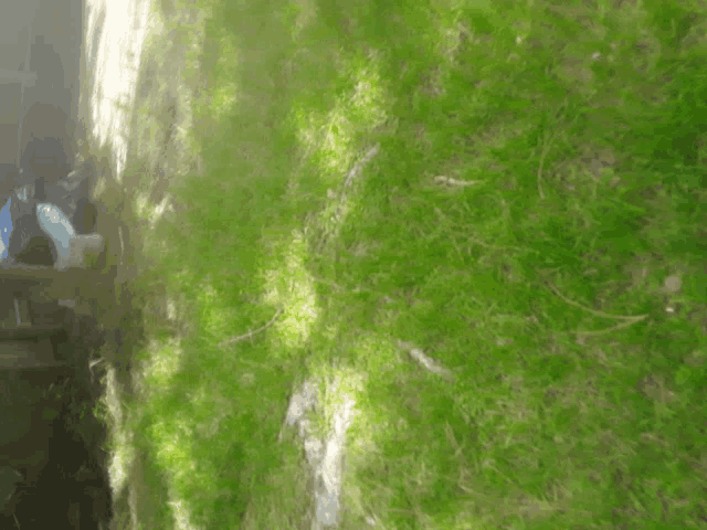 a blurred image of a lush green field with a few trees in the background